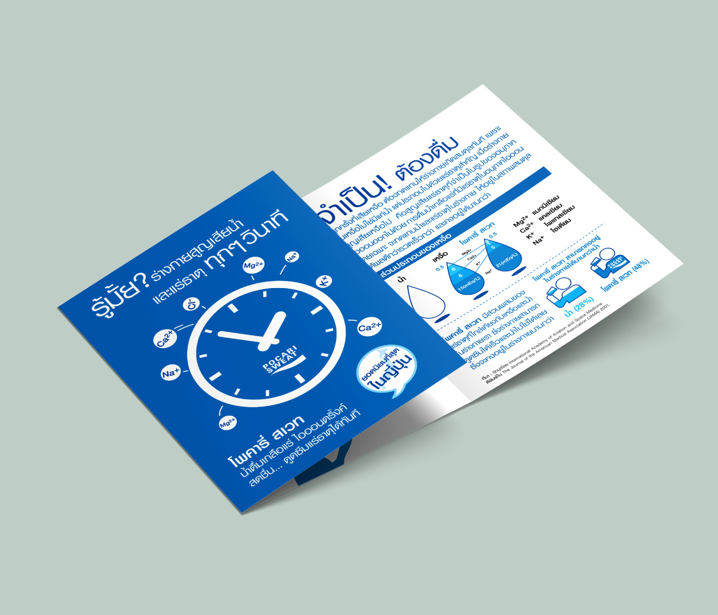 Pocari Leaflet